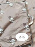 سرویس خواب مسافرتی